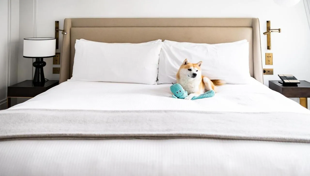 Hotel Kimpton - St Honore By Ihg